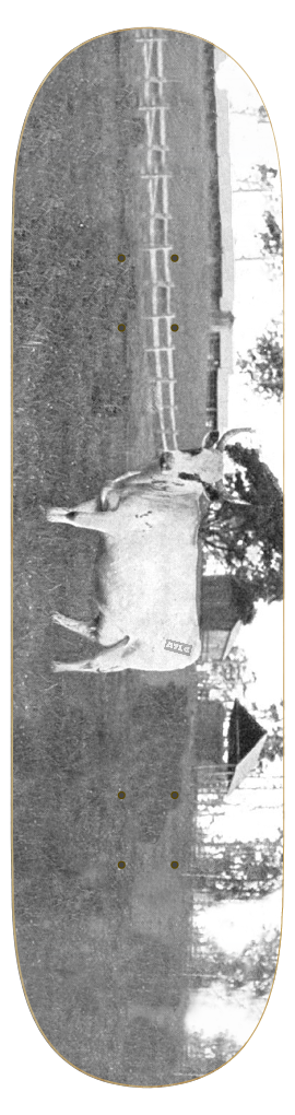 Bovine - ATLG skate deck