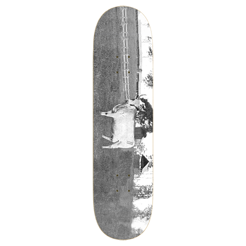 Bovine - ATLG skate deck